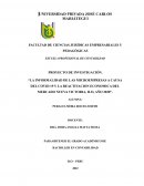 LA INFORMALIDAD DE LAS MICROEMPRESAS A CAUSA DEL COVID 19 Y LA REACTIVACION ECONOMICA DEL MERCADO NUEVA VICTORIA, ILO, AÑO 2020