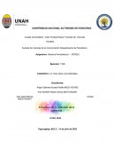 Estructura de la redacción de la entrevista