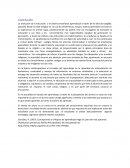 La evolución de la educación y el sistema enseñanza aprendizaje a través de los años