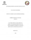 HOMBRE SOCIEDAD Y ECOLOGIA