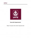 Mapa Conceptual sobre Cultura Organizacional