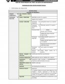 SOFTWARE DE DESARROLLO