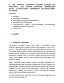 GAIA. METODOAK EKONOMIAN. EKONOMIA POSITIBOA ETA ARAUEMAILEA