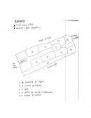 Buenas Prácticas Agrícolas en el cultivo de Plátano