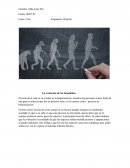 La evolucion de los hominidos