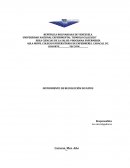 FORMATO INSTRUMENTO DE RECOLECCIÓN DE DATOS