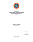 Sistemas de Producción (Mapa Mental)