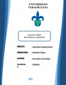 Ensayo sobre seguridad e Higiene
