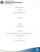 COMPETENCIA: INSTALAR REDES INTERNAS DE ACUERDO CON EL DISEÑO ELECTRICO