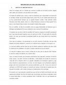 RESUMEN DE LECTURA: HECHO SOCIAL