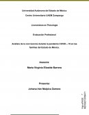 Análisis de la convivencia durante la pandemia COVID – 19 en las familias del Estado de México