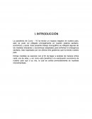 ANÁLISIS DE LA PANDEMIA EN MATERIA TRIBUTARIA Y ECONÓMICA