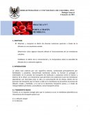 Transporte a través de membranas