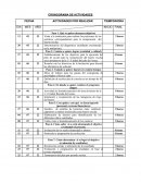CRONOGRAMA DE ACTIVIDADES