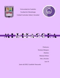 Mi Bitácora. Página 1