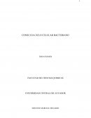Ciclo celular bacteriano