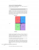 Resultado Politica Compass