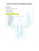 Plantilla de Análisis de factibilidad del negocio