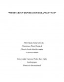 Producción y exportación de langostinos