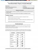 Teoría Musical Básica: Figuras y Compases Musicales