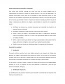 INFORME EJECUTIVO