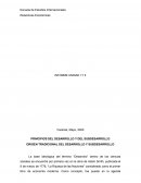 PRINCIPIOS DEL DESARROLLO Y DEL SUBDESARROLLO