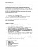 REVOLUCIÓN TECNOLÓGICA