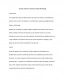 Ensayo sobre el Acoso Escolar (Bullying)
