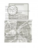 PALABRAS PARA EVALUACION DIAGNOSTICA 1o