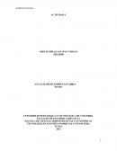 Auditoria Financiera