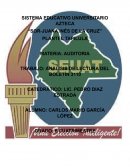 Actividad 1 analisis de lectura ¿Qué es una auditoría?