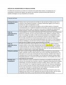 ANÁLISIS DEL MICROENTORNO (5 FUERZAS DE PORTER)