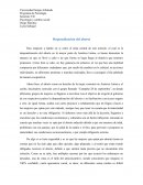 Despenalización del aborto