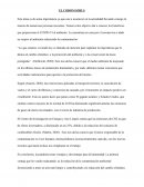 EL CORONAVIRUS