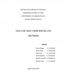 CICLO DE VIDA Y ANÁLISIS DE LOS SISTEMAS. SAINT