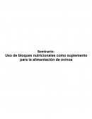 Uso de bloques nutricionales como suplemento para la alimentación de ovinos