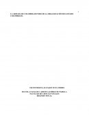 LA ARMADA DE COLOMBIA DENTRO DE LA ORGANIZACIÓN DEL ESTADO COLOMBIANO
