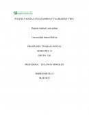 POLITICA SOCIAL EN COLOMBIA Y CALIDAD DE VIDA