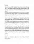 Ensayo el principito