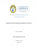 Memoria de la práctica empresarial realizada en Verzasca S.A