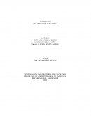 Programa de administracion de empresas