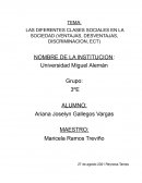 LAS DIFERENTES CLASES SOCIALES EN LA SOCIEDAD (VENTAJAS, DESVENTAJAS, DISCRIMINACION, ECT)