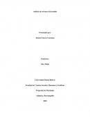 Analisis en busca de sentido