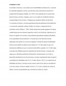 Los trastornos de lectura y escritura