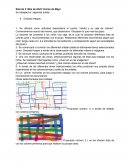 Arte: Graciela Hasper para sala de 3