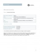 Taller Grupal Microeconomia