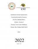 INFLUENCIA DE LA DIETA SOBRE LA FORMACIÓN Y CONTENIDO DEL GLUCÓGENO HEPÁTICO