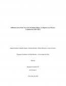 Fake News y Proceso Constituyente