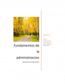 Características del administrador