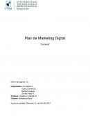 Plan de Marketing Digital “Carnaval”